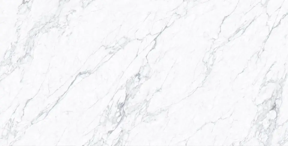 Venato1228 (Silky)